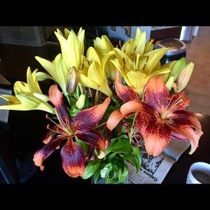 Meet your Posher, Jennifer